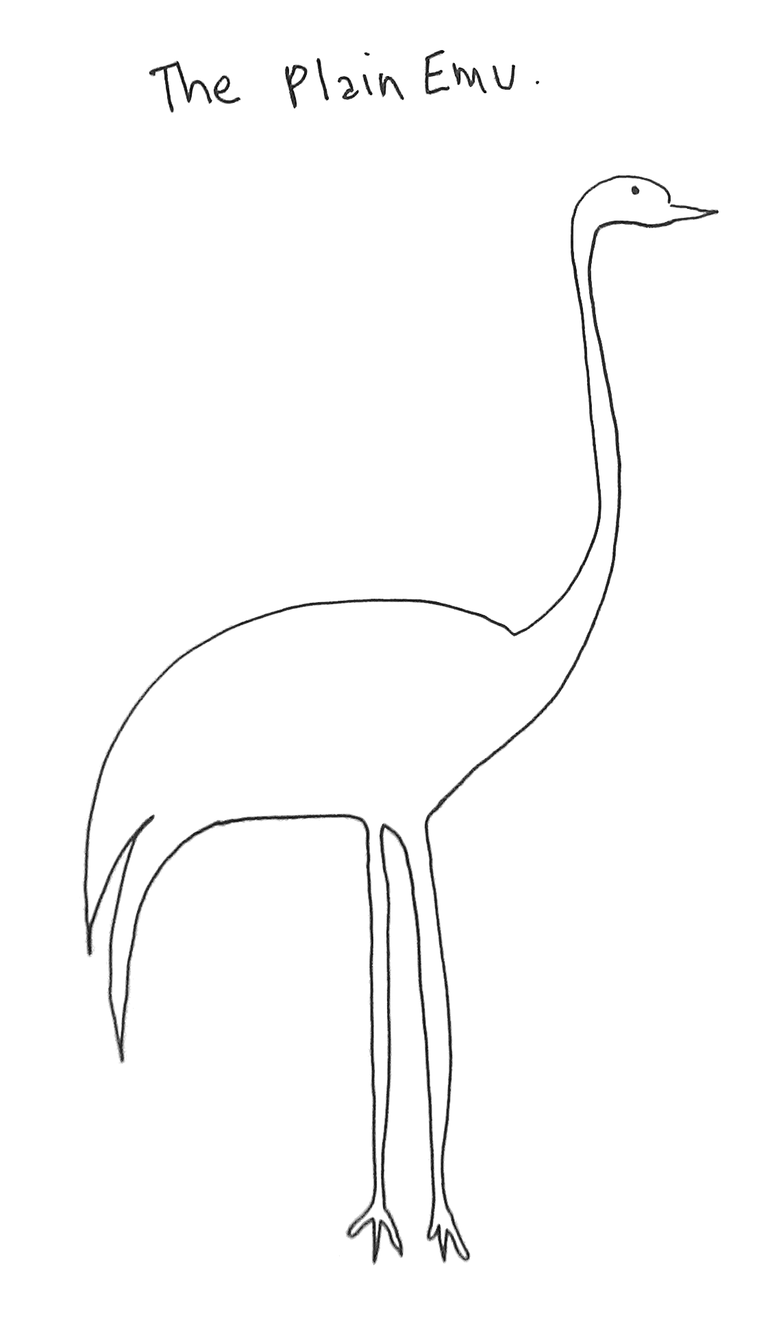 The Plain Emu