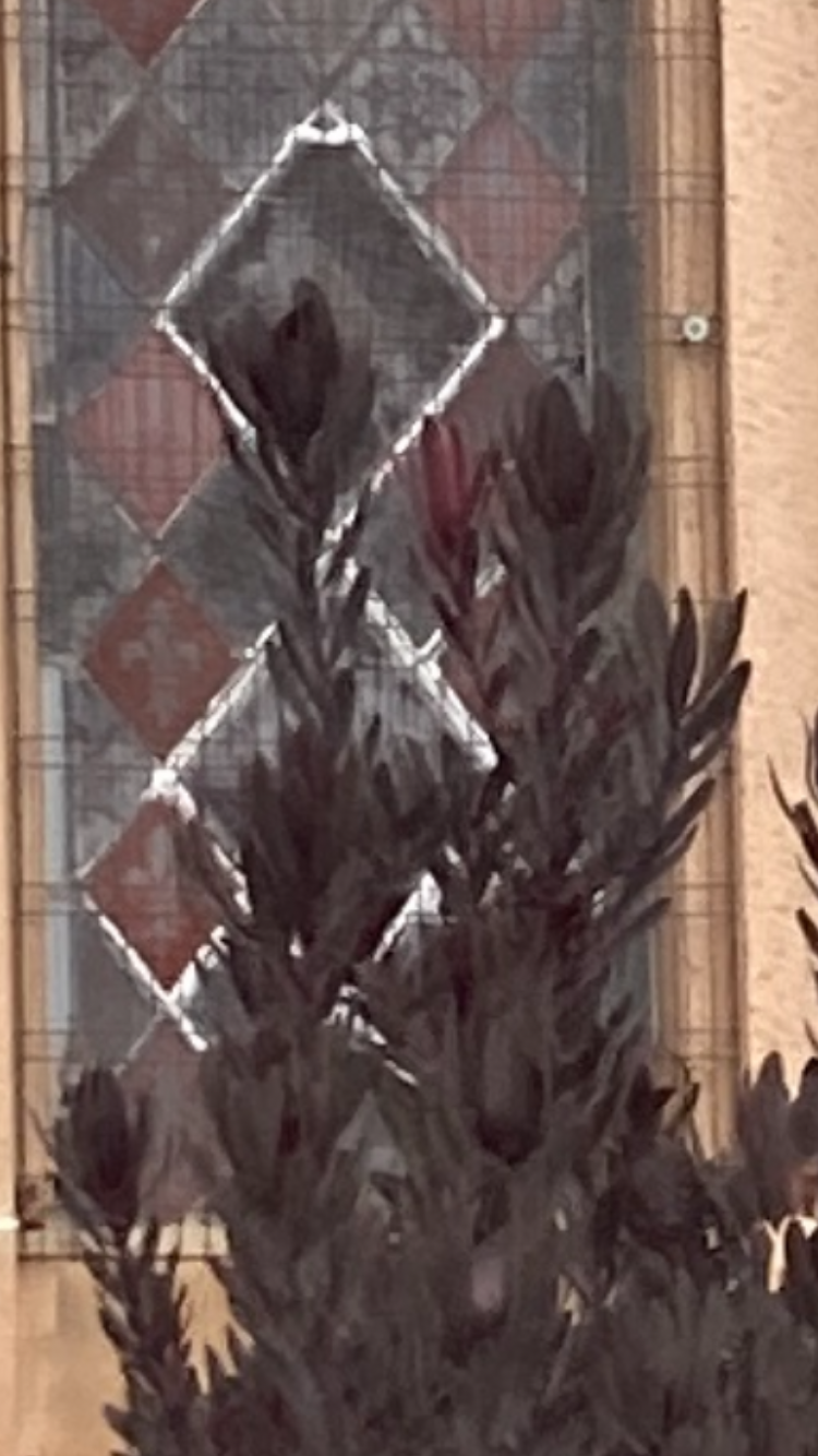diamond glass