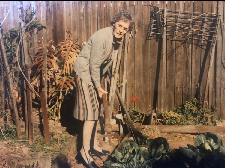 Grandma digging veges for lunch