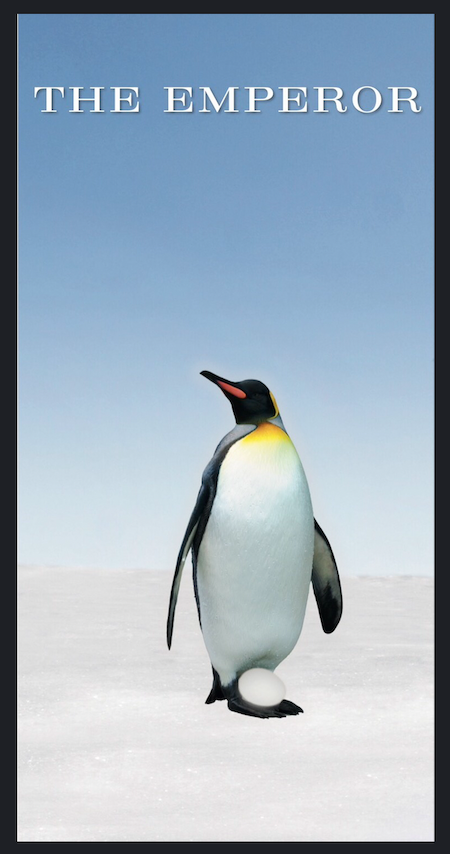 Penguin Tarot Card