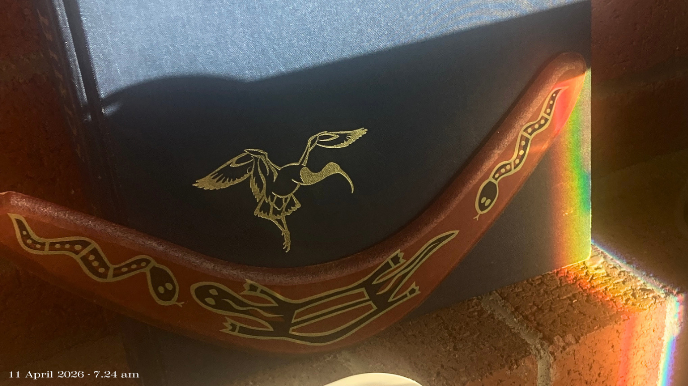 Boomerang, Book, Bird