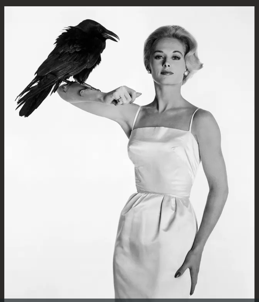 Tippi